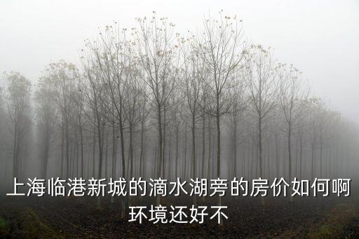 上海臨港新城的滴水湖旁的房價如何啊環境還好不