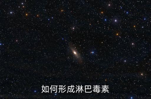 如何形成淋巴毒素