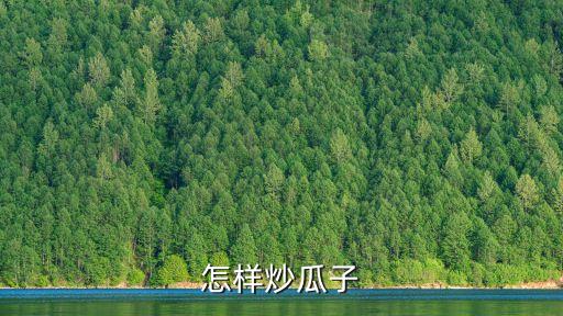瓜子怎么炒好吃，瓜子要怎么炒