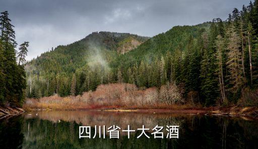 四川名酒排行榜前十名，四川省十大名酒