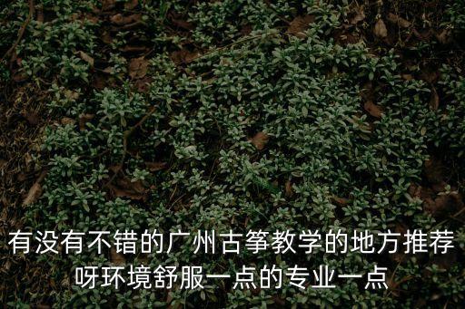 廣州青荷古箏培訓(xùn)班哪里好，廣州的古箏培訓(xùn)機構(gòu)哪家比較好