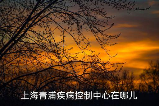 上海市青浦衛生局官網，上海市衛生局官網