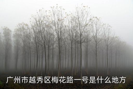 廣州市越秀區(qū)梅花路一號是什么地方