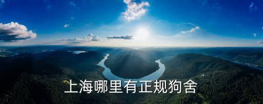 上海市正規犬舍，上海哪里有正規狗舍