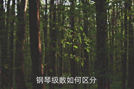 鋼琴等級(jí)劃分標(biāo)準(zhǔn)，鋼琴是怎么分級(jí)的最高是幾級(jí)六級(jí)是什么水平光良童話(huà)用鋼琴?gòu)?/></a></span><span id=