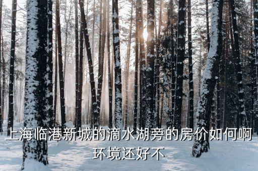 上海市臨港地方房價，上海臨港新城的滴水湖旁的房價如何啊環境還好不