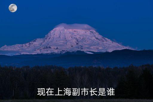 現(xiàn)在上海副市長是誰