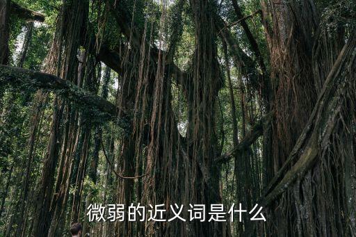 微弱的近義詞是什么