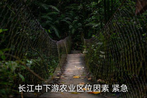上海市委洪峰，長江中下游平原自然區位優勢
