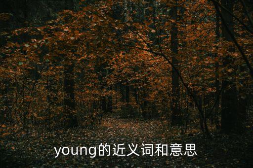 young的近義詞和意思