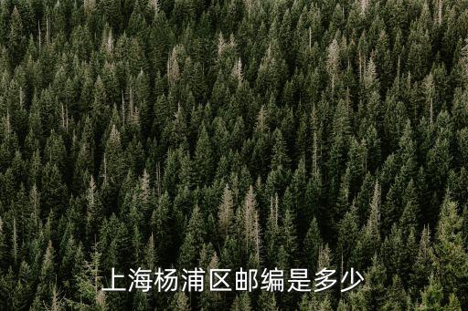 上海楊浦區郵編是多少