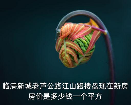 臨港新城老蘆公路江山路樓盤現在新房房價是多少錢一個平方