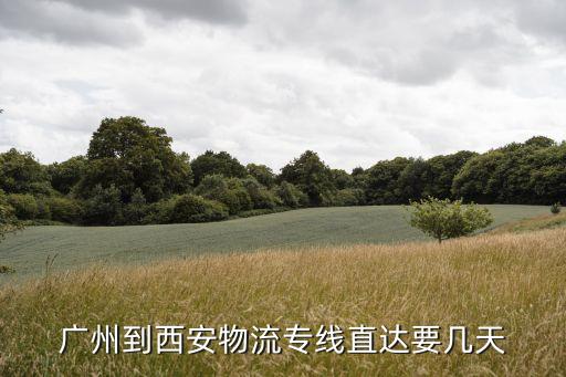 廣州到西安貨運中心，從廣州搬家到西安貨運公司快遞托運怎么樣方便便宜呢