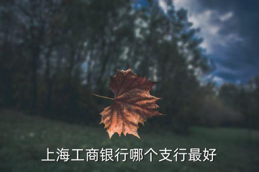 上海市世界大道工商銀行，上海工商銀行營業時間