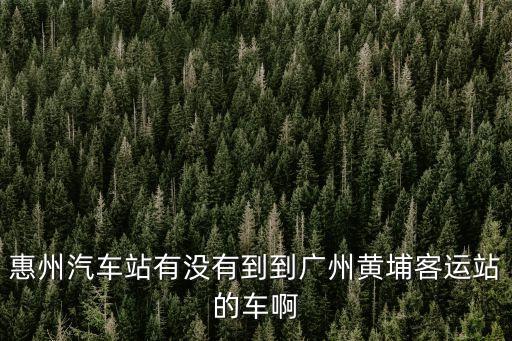 惠州汽車(chē)站有沒(méi)有到到廣州黃埔客運(yùn)站的車(chē)啊