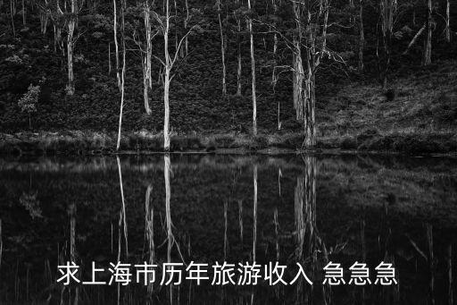 上海市民旅游情況，2013年上海市旅游業(yè)發(fā)展有哪些特點(diǎn)