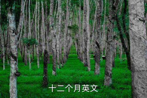 十二個月英文