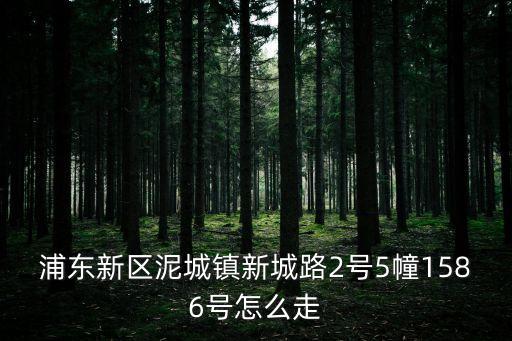 浦東新區泥城鎮新城路2號5幢1586號怎么走
