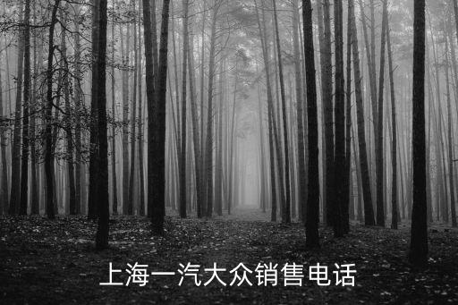 上海一汽大眾銷售電話