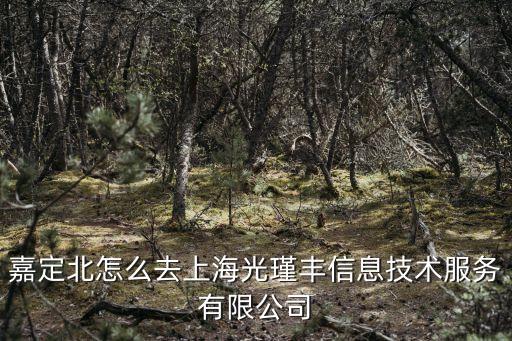 嘉定北怎么去上海光瑾豐信息技術服務有限公司