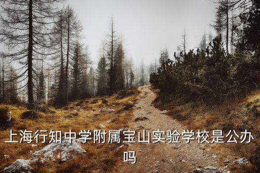 上海市行知中學(xué)附屬實驗學(xué)校，上海行知中學(xué)附屬寶山實驗學(xué)校是公辦嗎