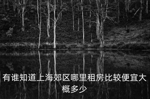 有誰知道上海郊區(qū)哪里租房比較便宜大概多少