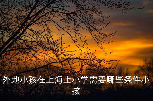 上海市小學 去學條件，外地小孩在上海上小學需要哪些條件小孩