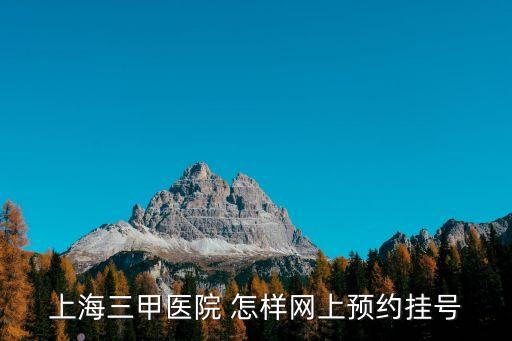 上海三甲醫(yī)院 怎樣網(wǎng)上預(yù)約掛號
