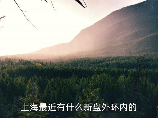 上海市新盤房源，上海最近有什么新盤外環內的