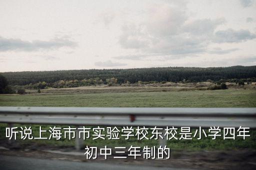 聽說上海市市實驗學(xué)校東校是小學(xué)四年初中三年制的