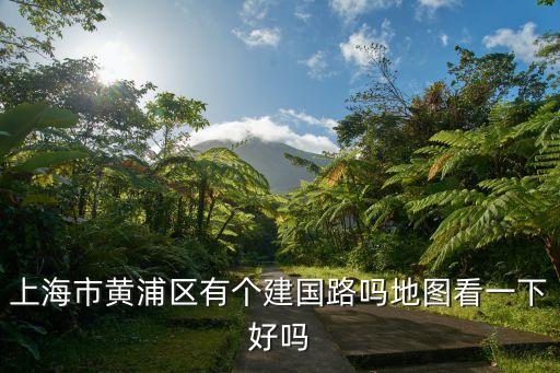 上海市立建路，上海署建路蓮花南路閔行區滬C牌照能去嗎