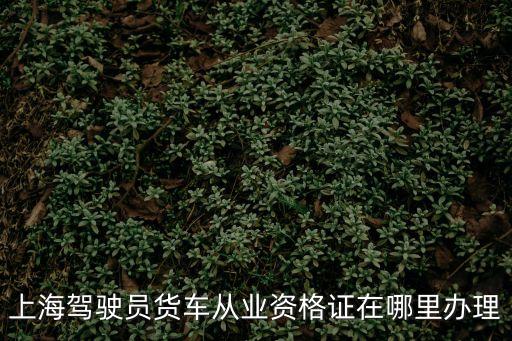 上海市嘉定區辦貨運證的地址在哪里，上海嘉定區的貨運資格證在哪里換