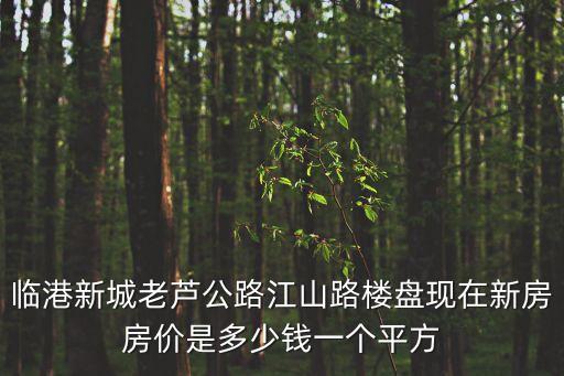 臨港新城老蘆公路江山路樓盤現在新房房價是多少錢一個平方