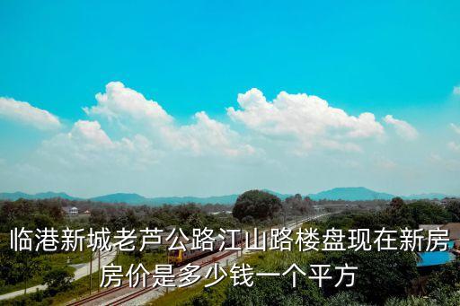 臨港新城老蘆公路江山路樓盤現在新房房價是多少錢一個平方