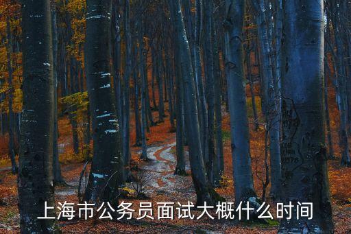 上海市公務(wù)員面試大概什么時間