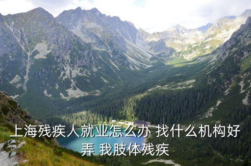 上海市殘疾網(wǎng)，上海殘疾人就業(yè)怎么辦 找什么機(jī)構(gòu)好弄 我肢體殘疾