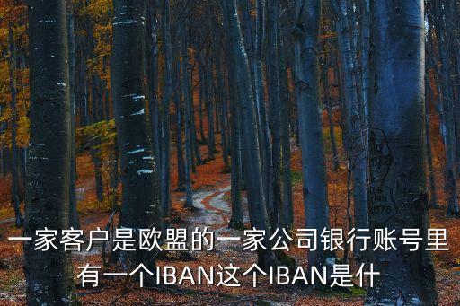 一家客戶是歐盟的一家公司銀行賬號(hào)里有一個(gè)IBAN這個(gè)IBAN是什