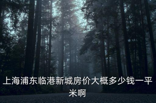 上海浦東臨港新城房價大概多少錢一平米啊