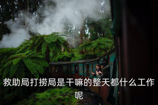 上海市救助打撈局項目，有誰了解 上海打撈局 或者 東海救助局