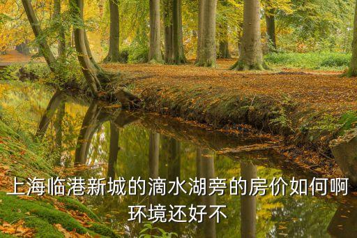 上海臨港新城的滴水湖旁的房價如何啊環境還好不