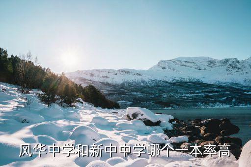 風華中學和新中中學哪個一本率高
