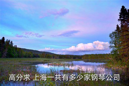 上海市鋼琴公司，上海生產(chǎn)的威爾納鋼琴