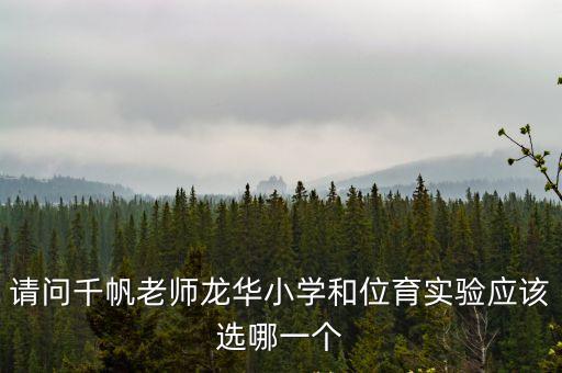 上海市位育實驗小學對口初中，請問千帆老師龍華小學和位育實驗應該選哪一個