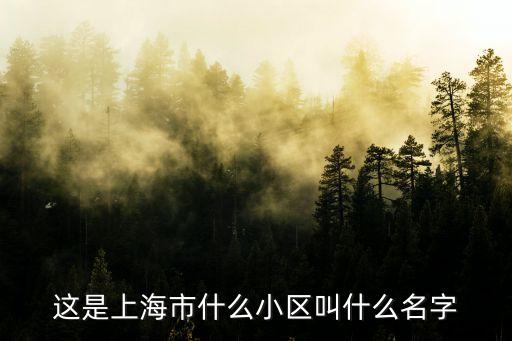 上海市新外灘花苑小區，這是上海市什么小區叫什么名字