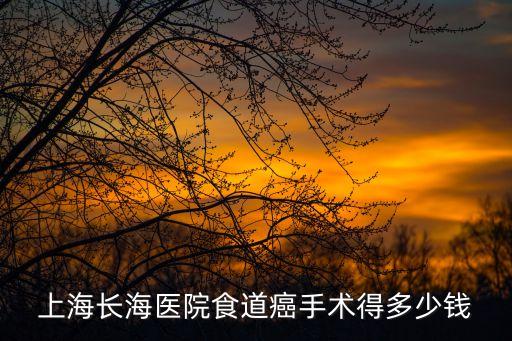 上海長海醫(yī)院食道癌手術(shù)得多少錢