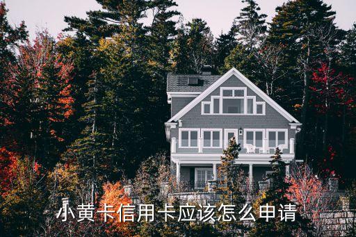 上海市公會會員查詢，如何查詢曾經是上海信鴿協會會員的情況