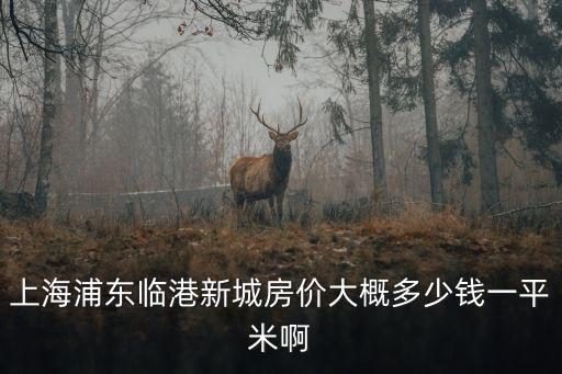 上海市臨港城市房價，上海臨港新城的滴水湖旁的房價如何啊環境還好不