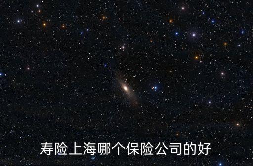 上海市壽險，求上海所有的保險公司我想買一份人壽保險