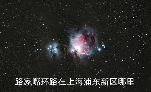 路家嘴環路在上海浦東新區哪里
