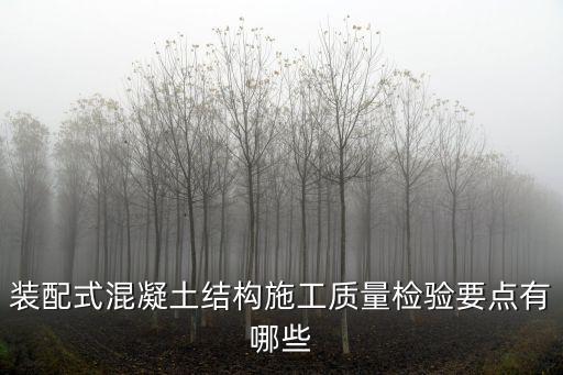 裝配式混凝土結(jié)構(gòu)施工質(zhì)量檢驗要點有哪些
